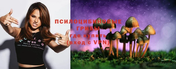 мдпв Волосово