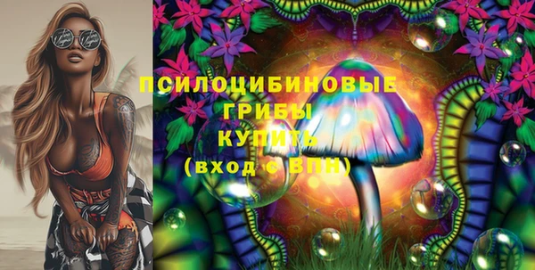 мдпв Волосово