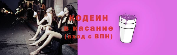 мдпв Верхний Тагил