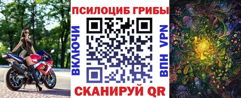 Купить  Лысьва  Псилоцибиновые грибы Cubensis 